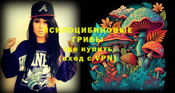 apvp Белоозёрский