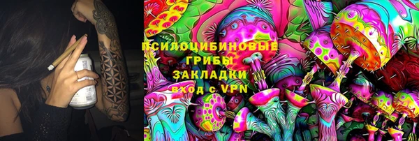 индика Покров