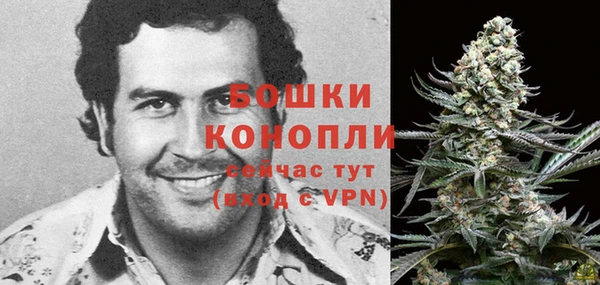 крисы Белокуриха
