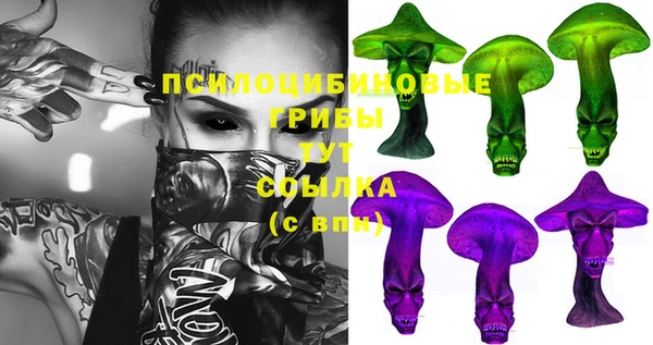 дживик Покачи