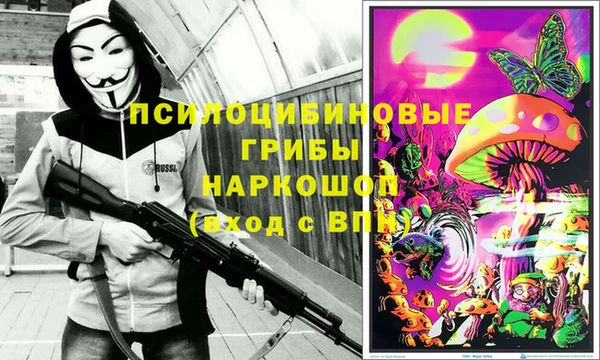 крисы Белокуриха